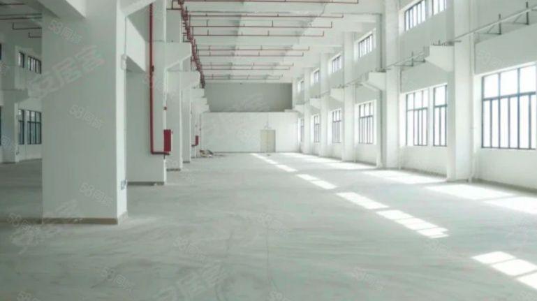 8元每平方原房东实际面积出租厂房单层面积1010平方现成地坪