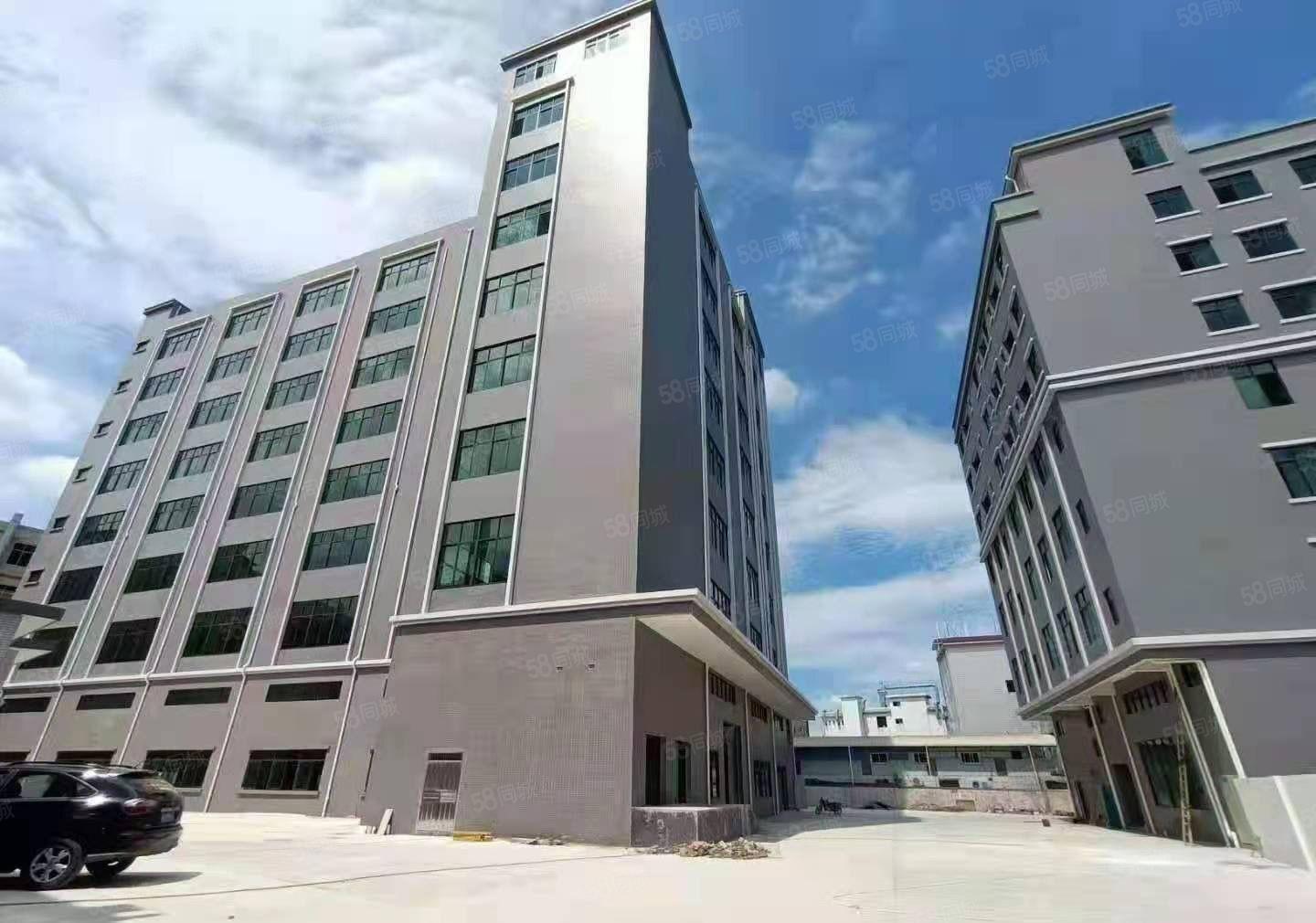 茶山大型工业园分租标准一楼2450平方，高7.5米