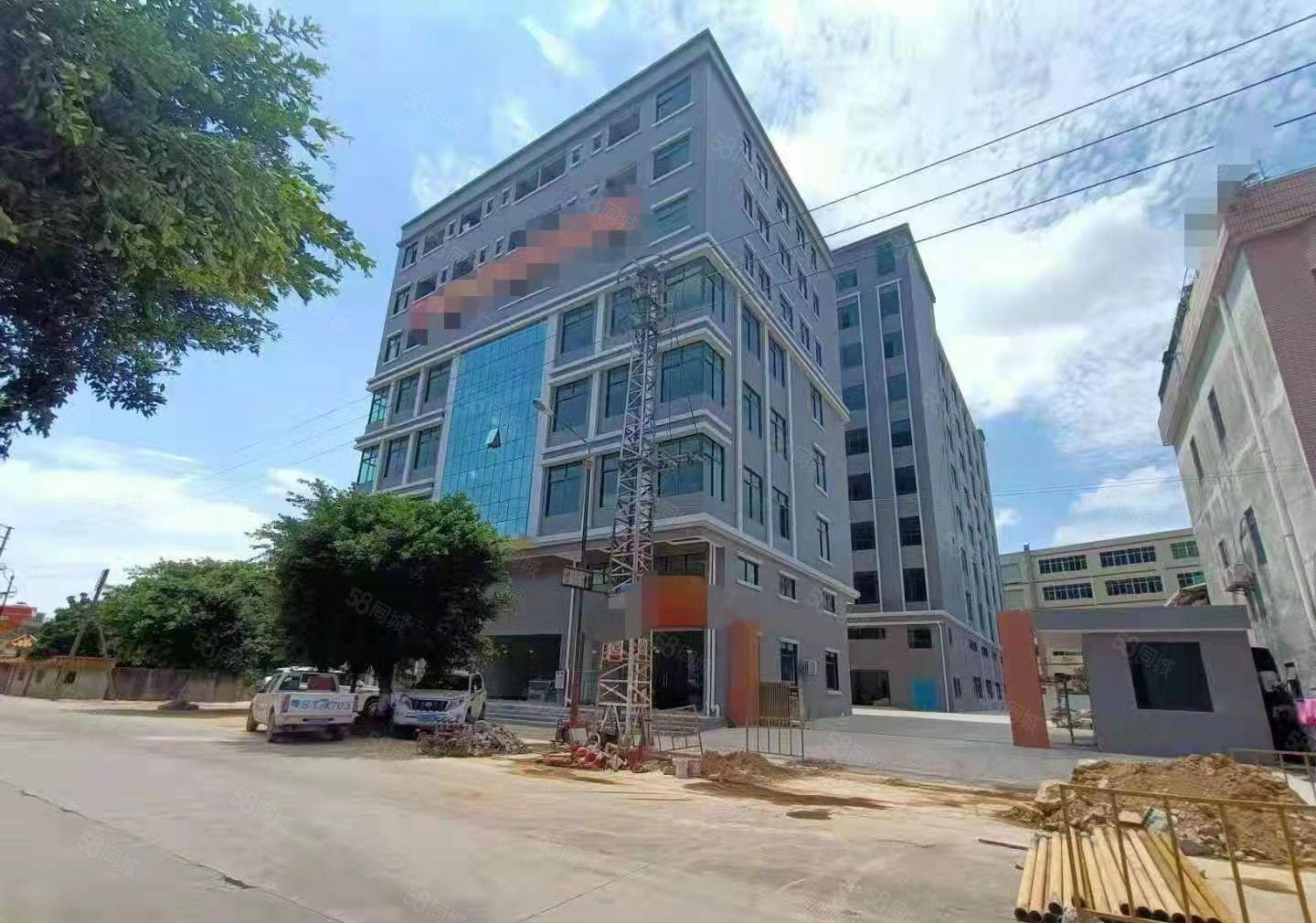 茶山大型工业园分租标准一楼2450平方，高7.5米