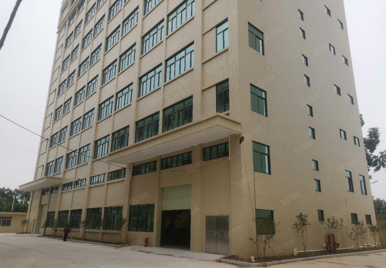 茶山新出一手原房东标准独院厂房28000平米水电齐全欢迎来电