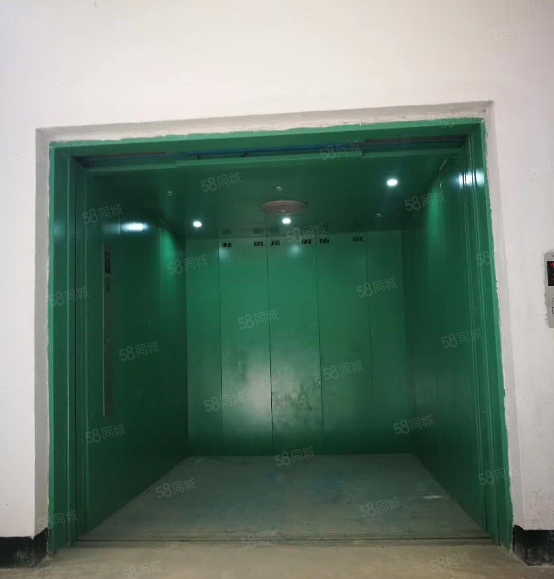 茶山镇独院标准厂房3600平方出租 带牛角位