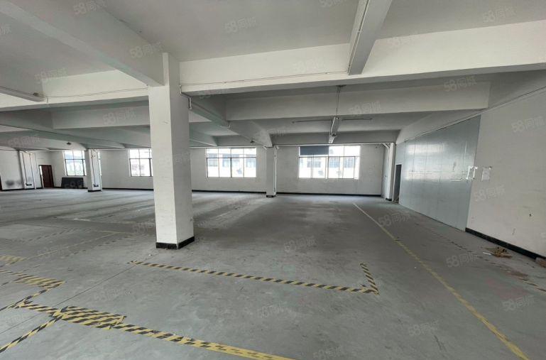 茶山主干道楼上标准厂房11元招租电梯宽2米 带办公室 好招工