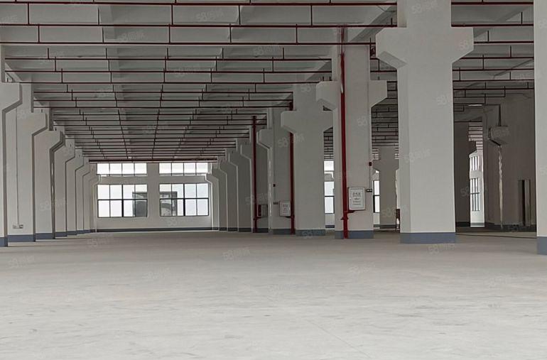 东莞市茶山镇新建独院厂房1000一5000平方起租格便宜。