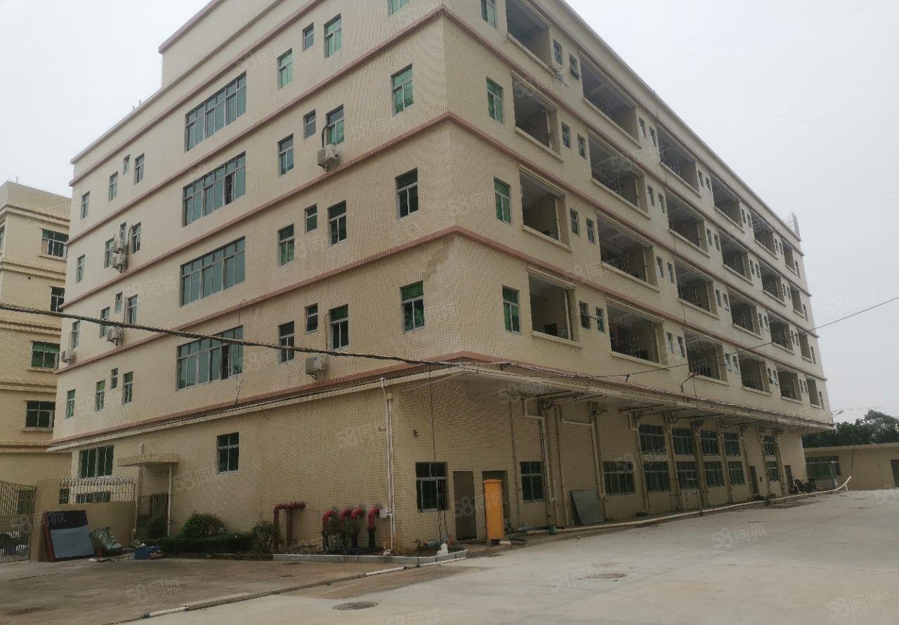 茶山新出一手原房东标准独院厂房28000平米水电齐全欢迎来电