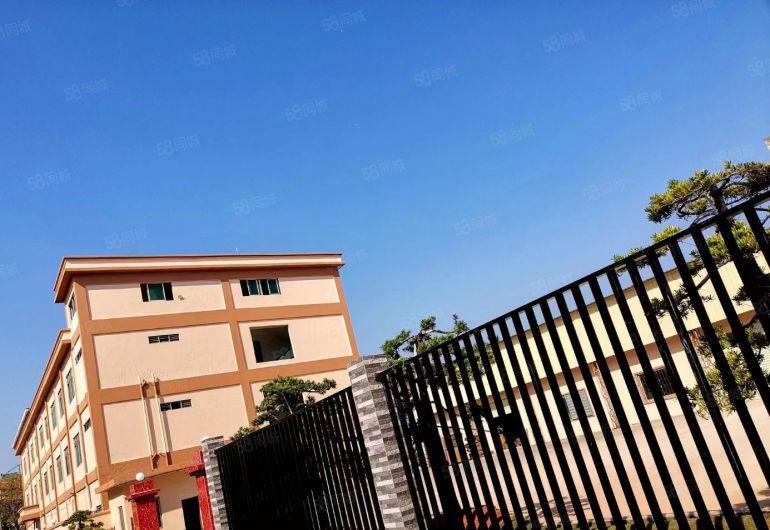 东莞市茶山镇原房东小独院厂房出租