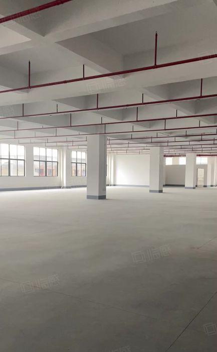长105米宽45米重工厂房出租，适合机械食品等行业