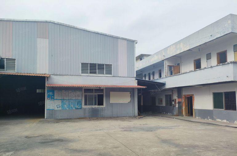 茶山镇单一层独门独院3800平方滴水7米高现成装修厂出租房