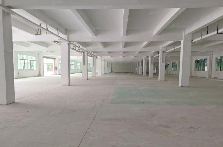 茶山新出现成装修厂房低价出租适合做注塑，硅胶，CNC加工等！