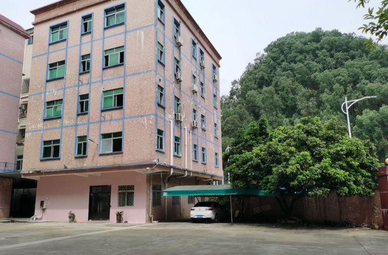 茶山镇原房东独院厂房出租5500平方米分租1000平方米起租