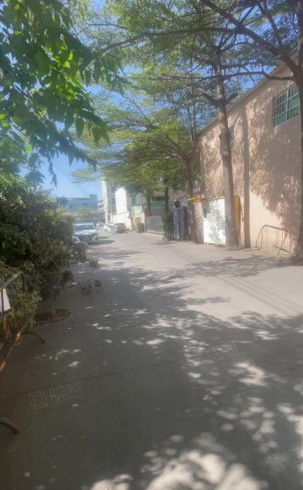 茶山独院厂房出租2500平米1000平方米空地适合家居五金