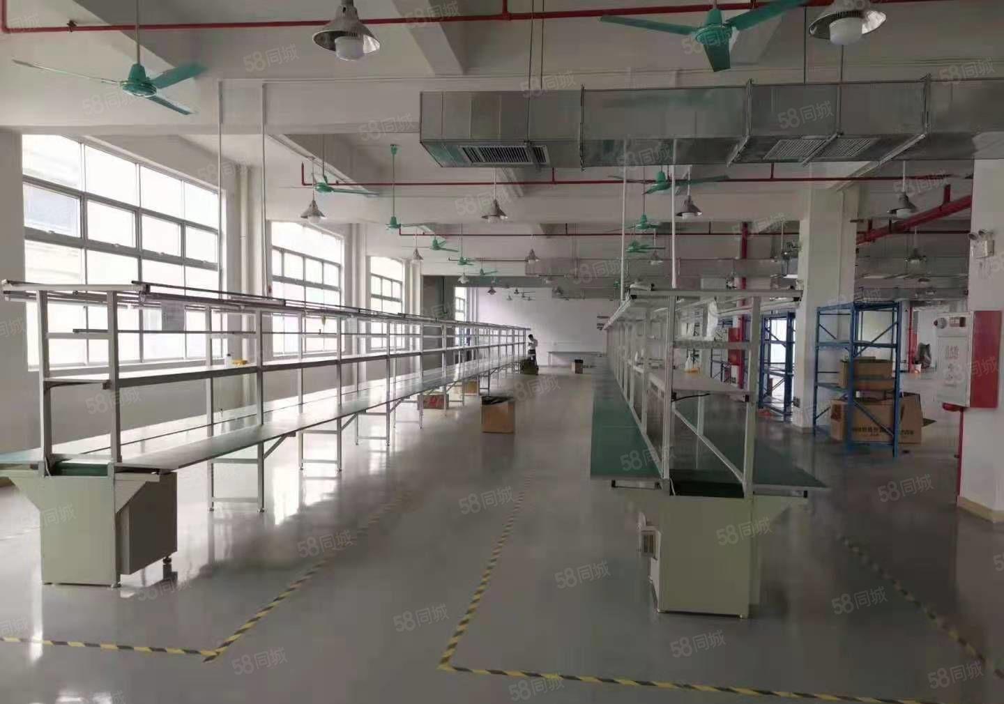 茶山镇独门独院两层厂房3500平方招租，空地大