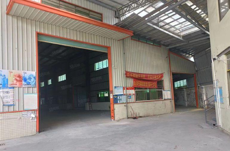 茶山厂房租赁 茶山镇原房东单一层钢结构厂房出租1800平方