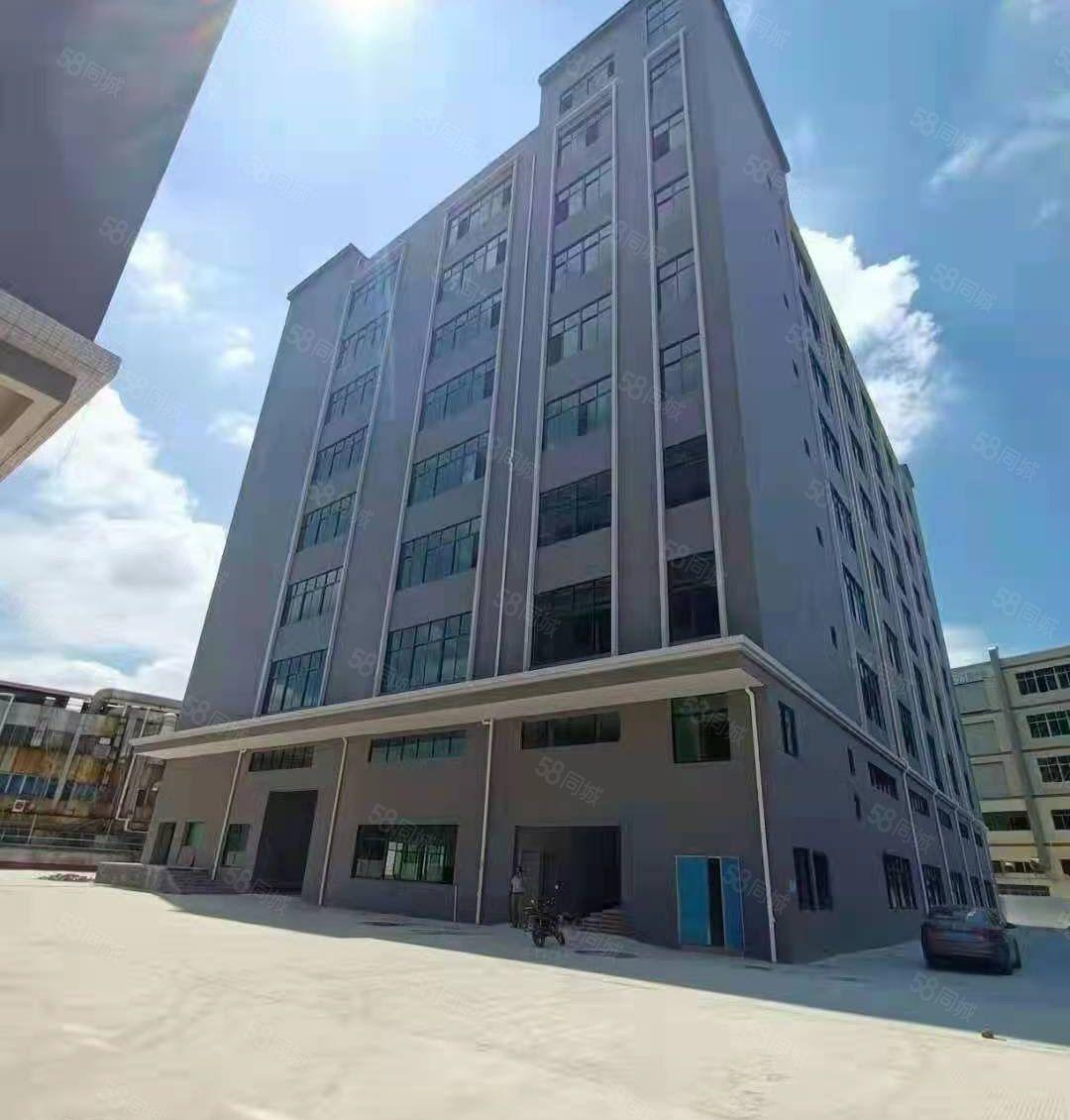 茶山大型工业园分租标准一楼2450平方，高7.5米