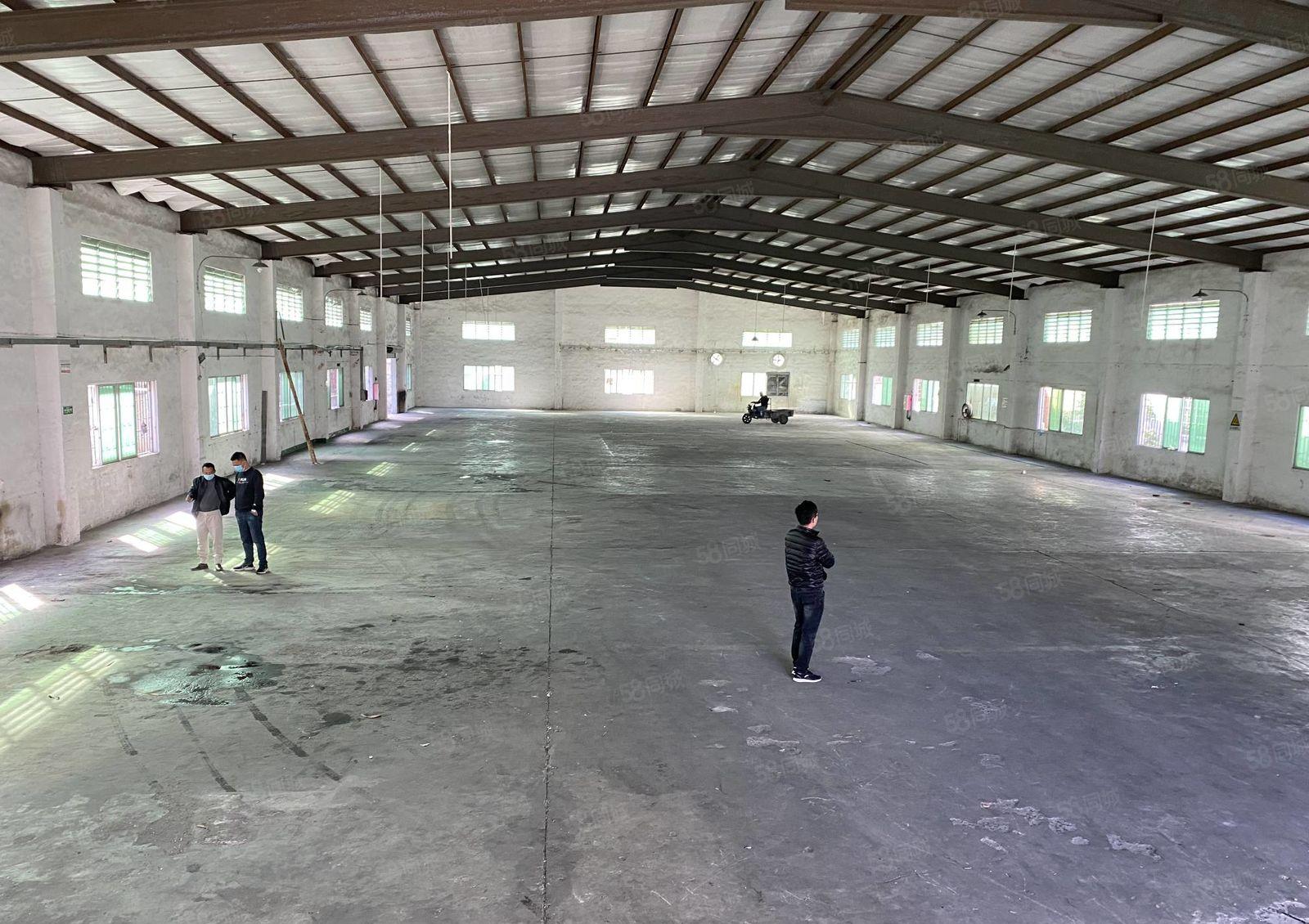 特价出租独院铁皮房2000平滴水9米 独立变压器315