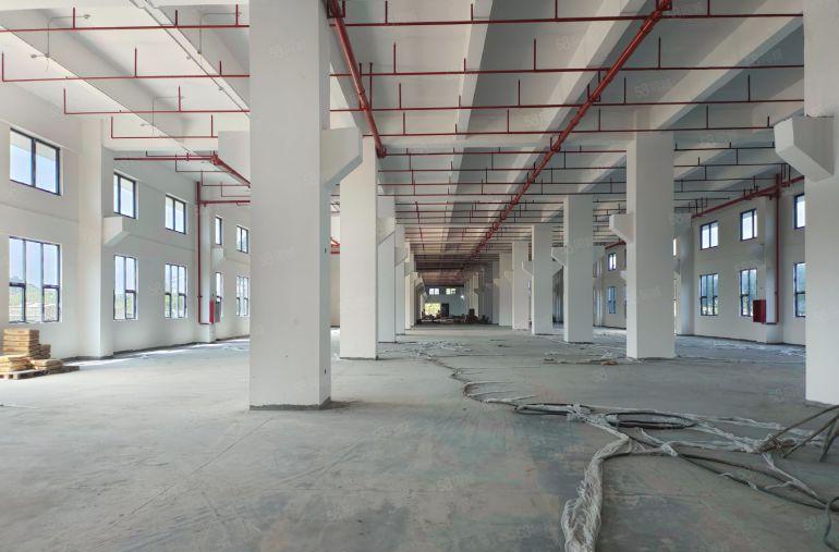 公司自建厂房出租，茶山原房东2610平红本厂房出租