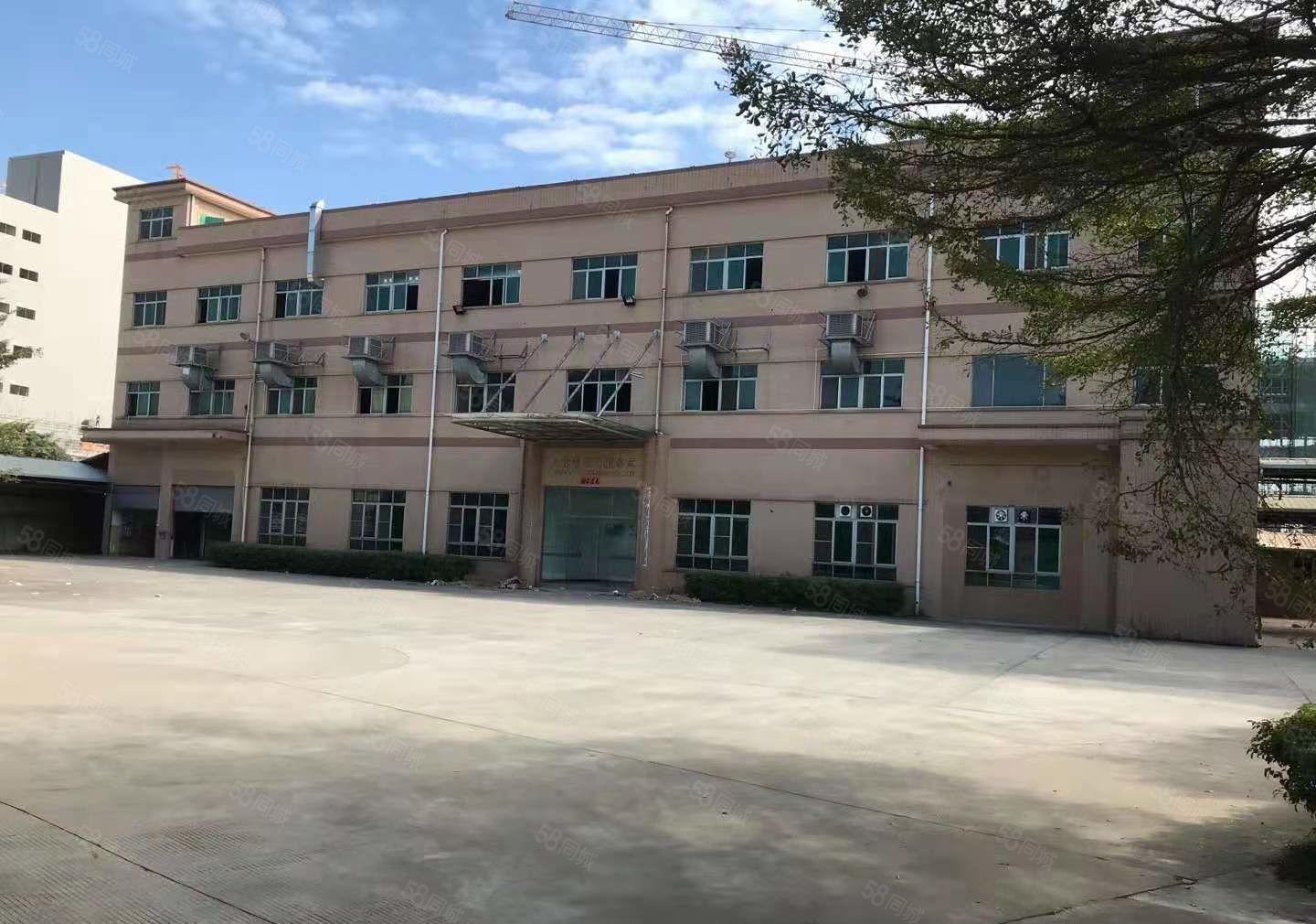 茶山镇独院标准厂房3600平方出租 带牛角位