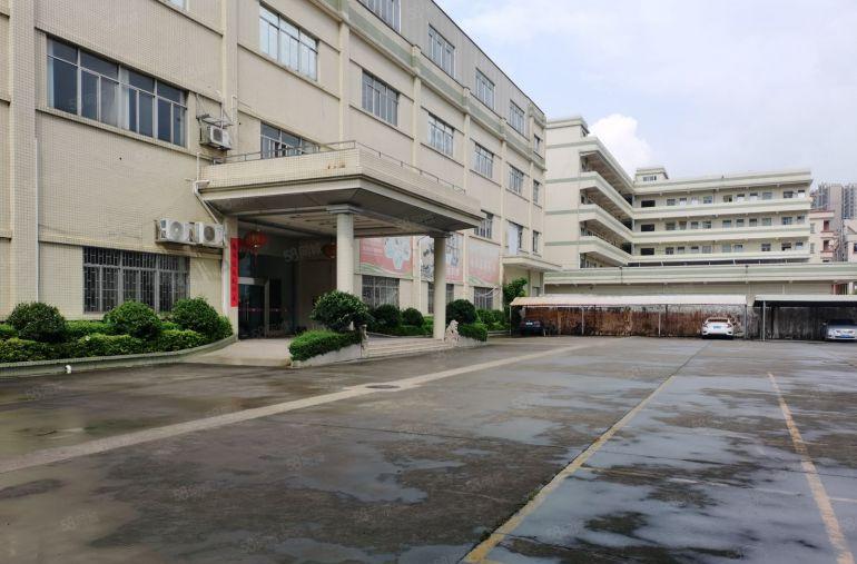 茶山镇原房东独院厂房出租9000平方米分租1000平方米起