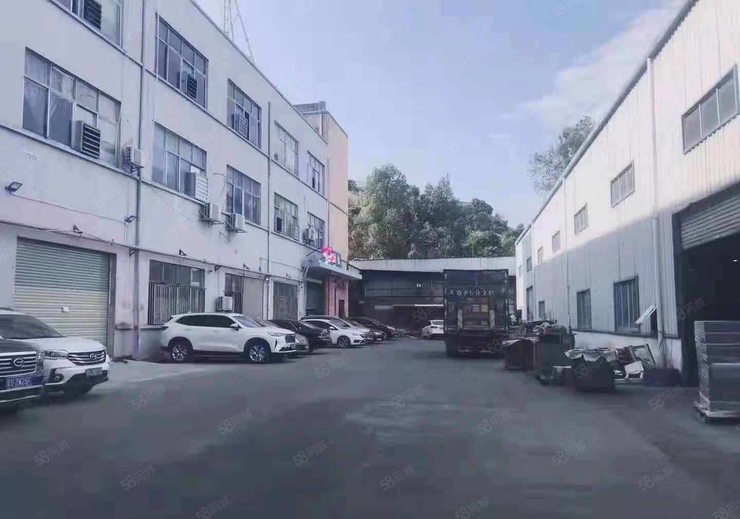 茶山镇原房东厂房出租楼上600平方招租 带装修