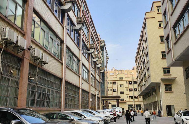 茶山镇原房东一楼实际面积出租，一楼层高六米