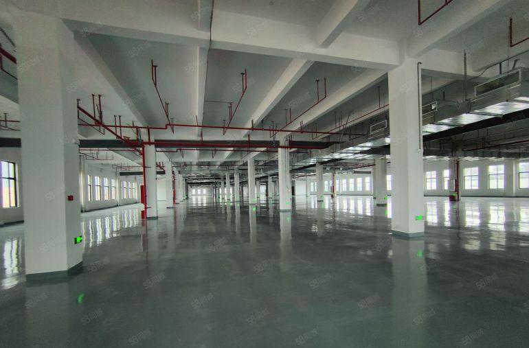 两百起租8元低价甩租茶山石龙石排村委4千平一楼仓库厂房出租