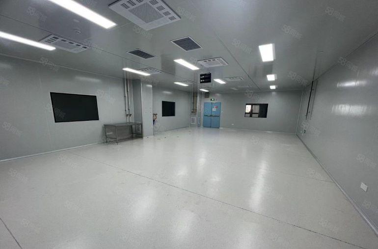 茶山原房东独栋厂房2600平方可分租 价格优惠  无尘车间