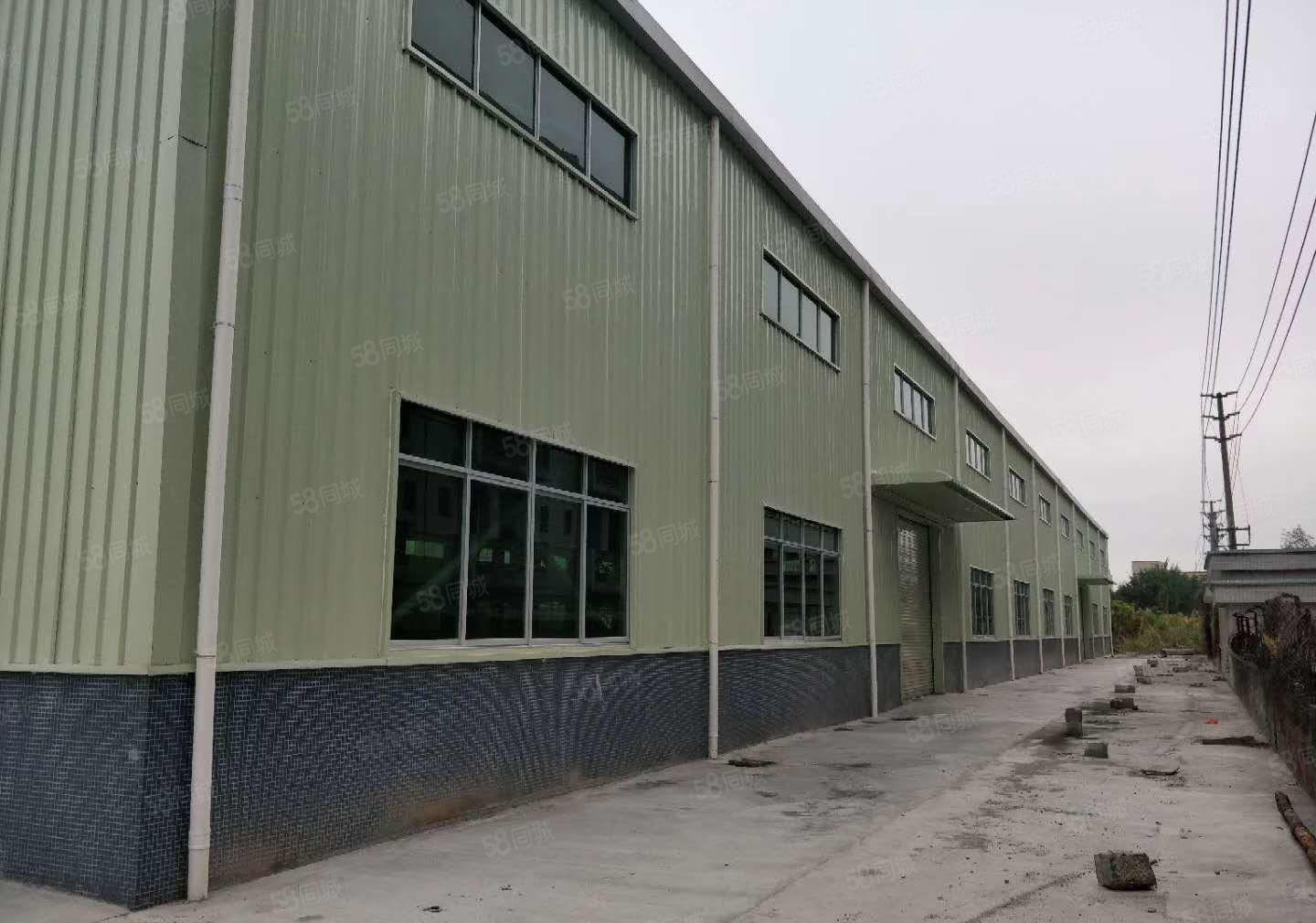 茶山原房东全新单一层钢结构厂房出租3000平方招租 滴水9米