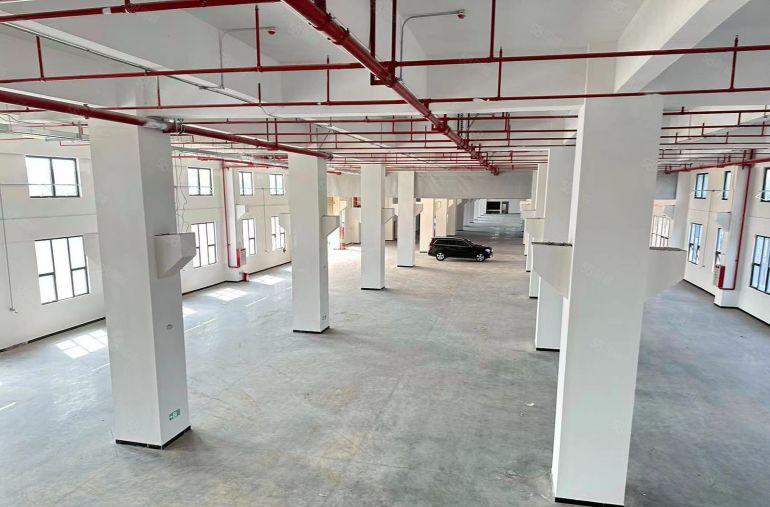 一手房东出租！5吨大货梯茶山5300平方全新重工业厂房出租