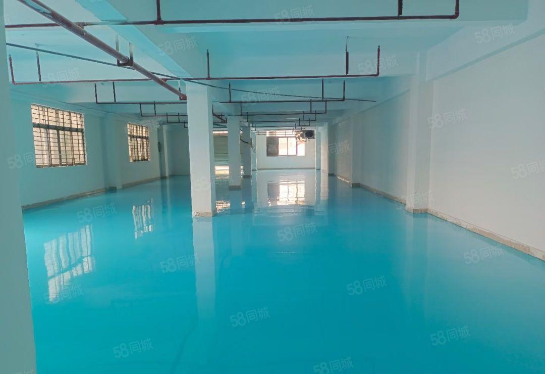 小独院总面积2100平，可进大货柜