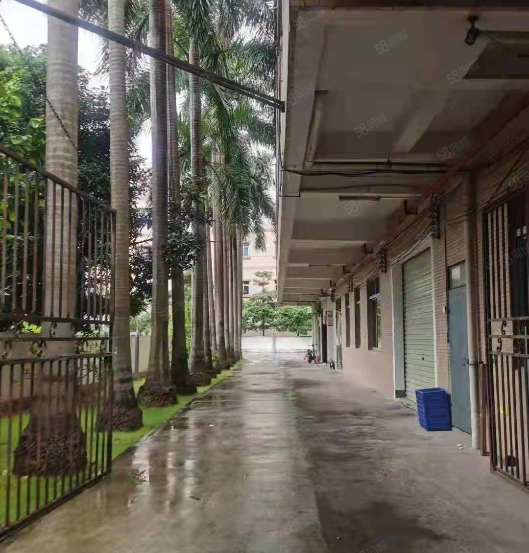 茶山经典小独院厂房出租4350平方形象好空地大工业用地