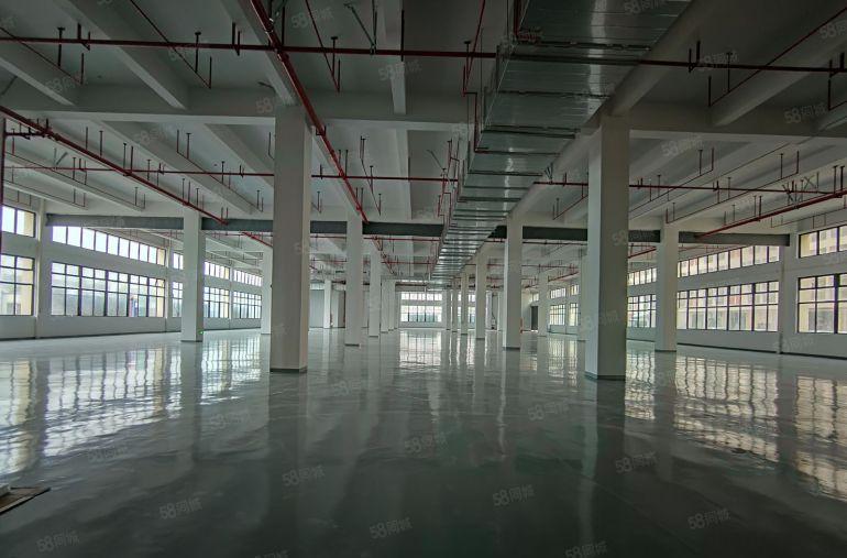 两百起租8元低价甩租茶山石龙石排村委4千平一楼仓库厂房出租