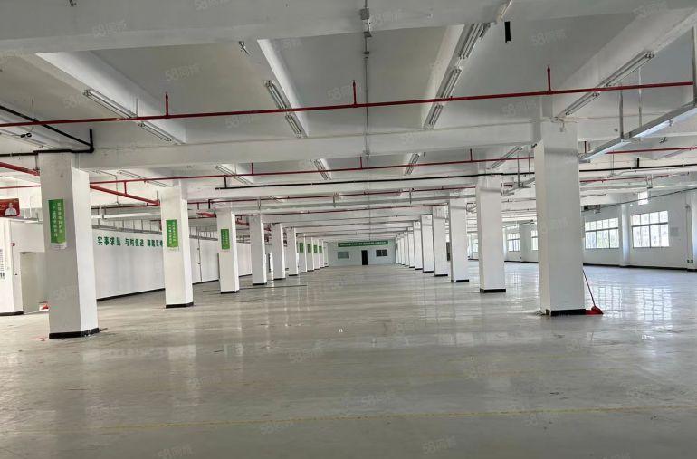 东莞市茶山镇新建独院厂房1000一5000平方起租格便宜。