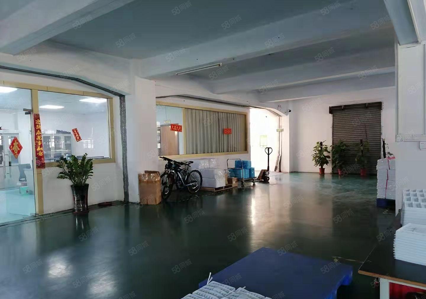 茶山镇原房东独栋厂房出租。每层230平方。带电梯