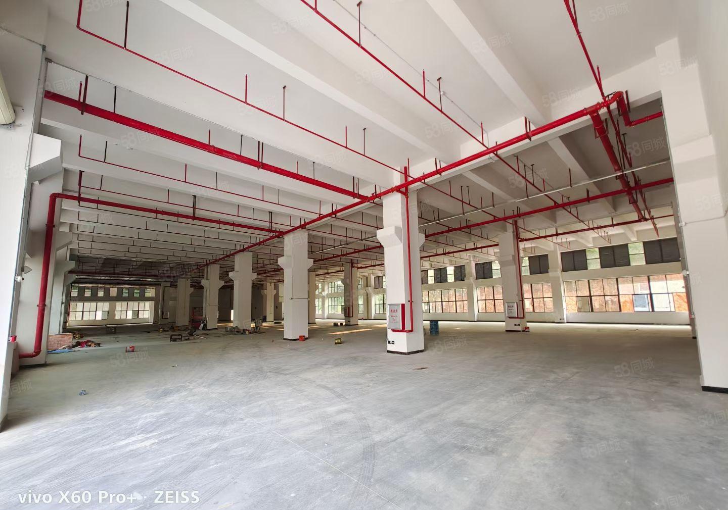 茶山镇共性厂房自带环评，适合阳极氧化酸洗磷化电镀镍钝化等行业