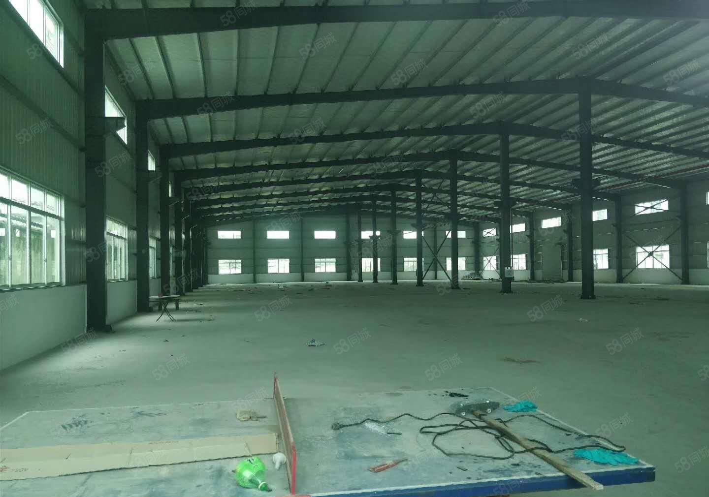 茶山原房东全新单一层钢结构厂房出租3000平方招租 滴水9米