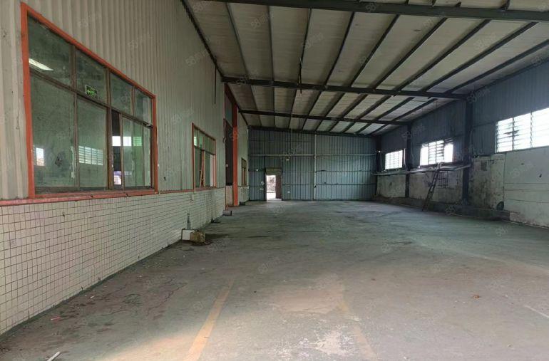 茶山厂房租赁 茶山镇原房东单一层钢结构厂房出租1800平方