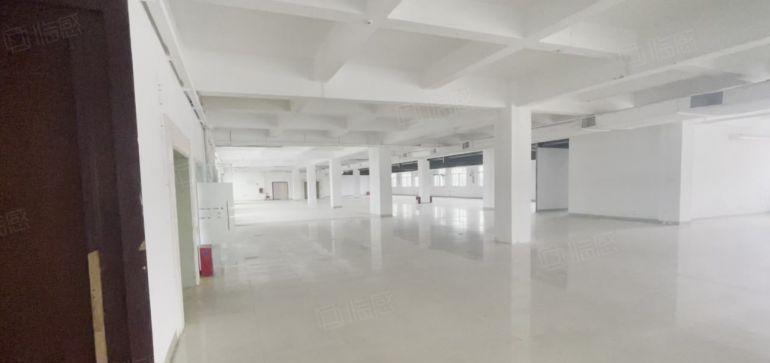 茶山楼上标准厂房10块起租3台电梯可生产可办公可分租 好招工