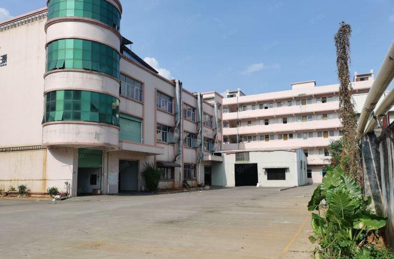 茶山独门独院厂房出租，5000平方米有宿舍有办公室可整租