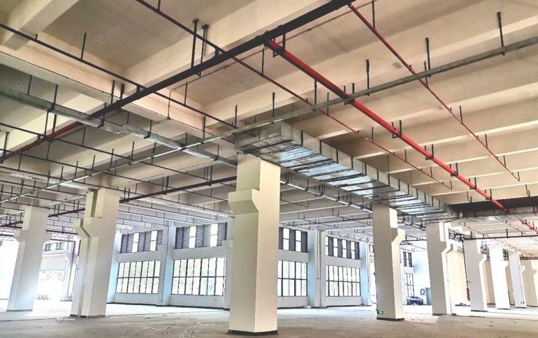 东莞全新原房东直租厂房8元起一楼7.8米带牛角