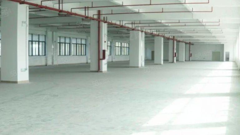 8元每平方原房东实际面积出租厂房单层面积1010平方现成地坪