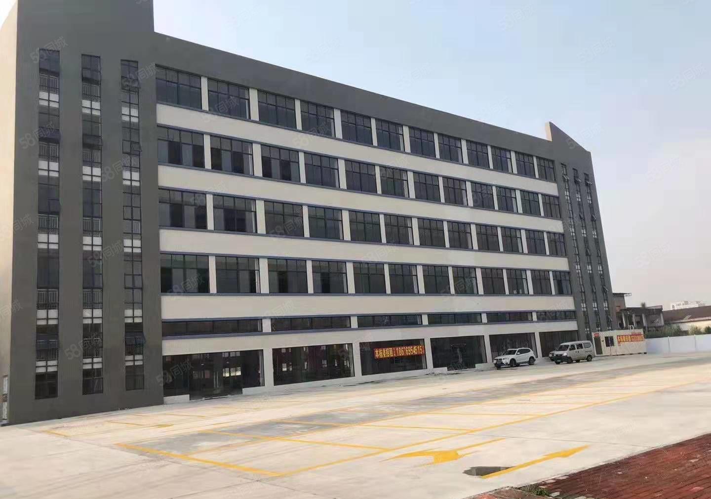 厂房出租出租 茶山镇工业茶山分租楼上一层2400平方招租