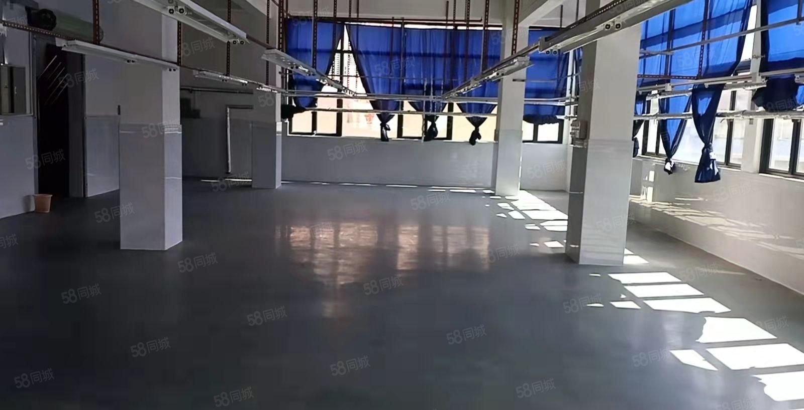 茶山镇原房东独栋厂房出租。每层230平方。带电梯