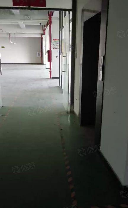 原房东 茶山标准独院厂房500平方出租 带装修.