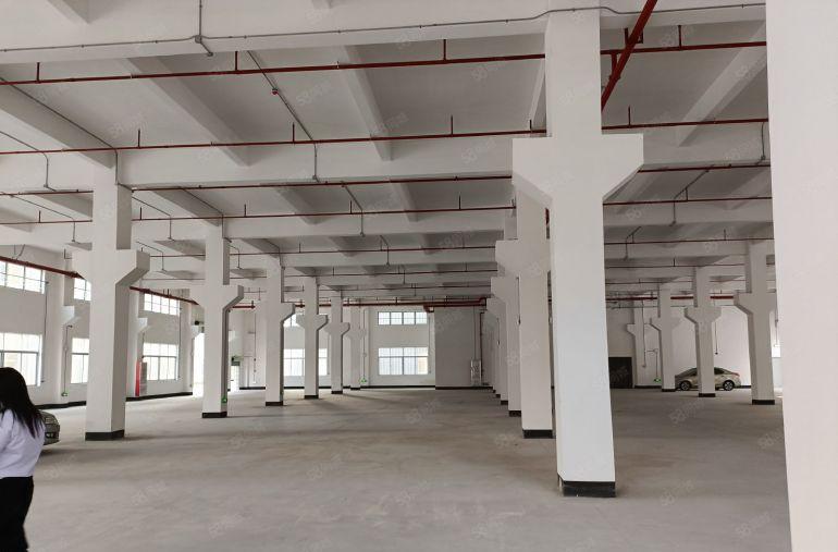 茶山工业厂房一至三楼各1500平，可分租500起分，带精装修