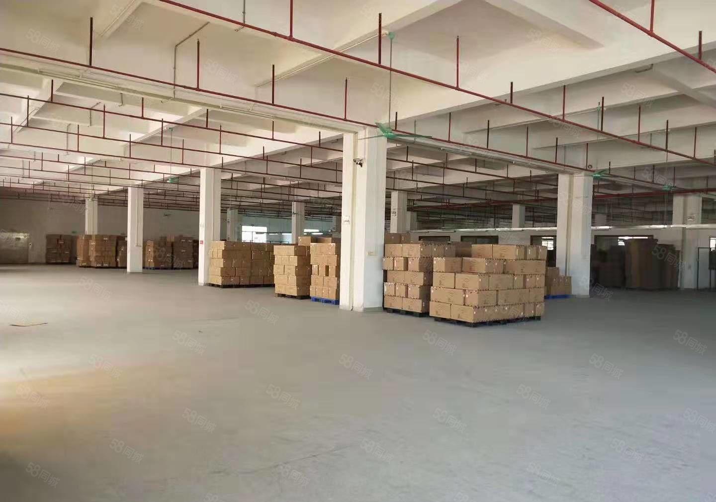 厂房出租出租 茶山镇工业茶山分租楼上一层2400平方招租