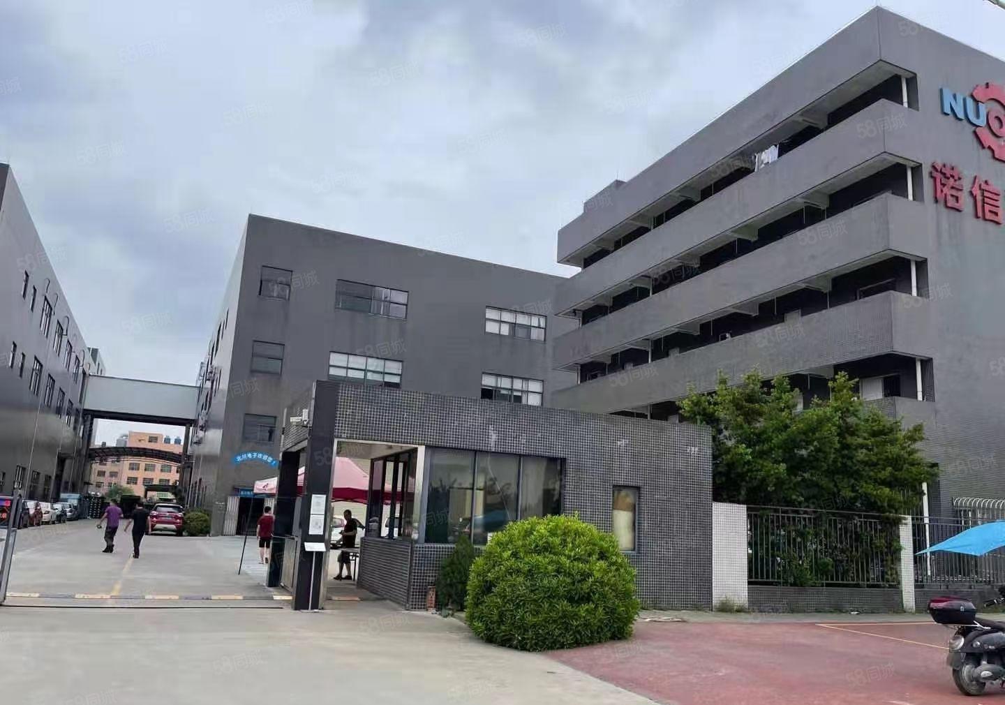 茶山全新独门独院花园式厂房出租，证件齐全  可办环评 可分租