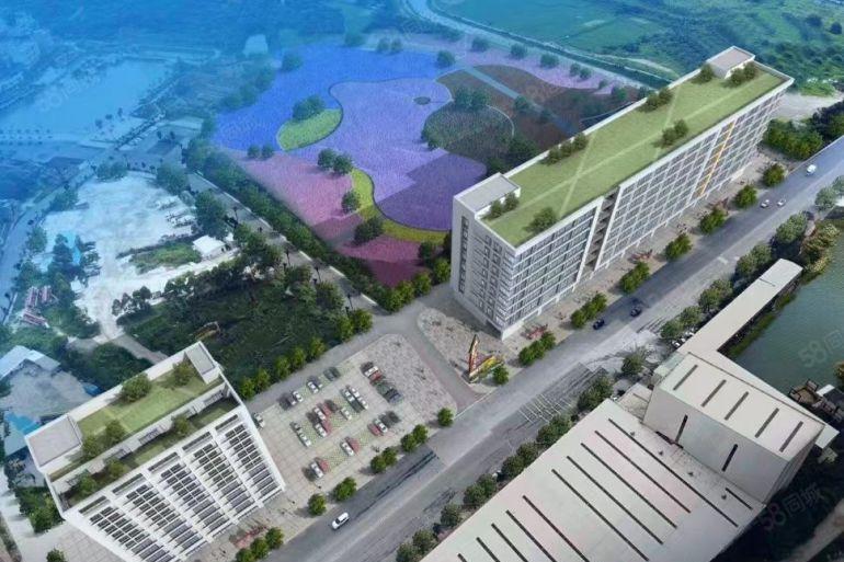 公司自建厂房出租，茶山原房东2610平红本厂房出租