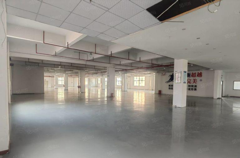 (低价厂房出租)茶山南社楼上2500平带精装修办公室水电齐全