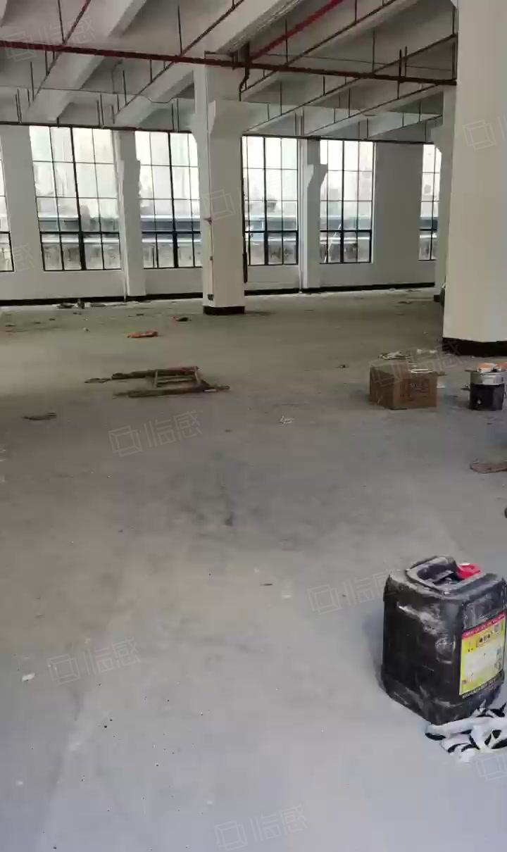 茶山全新标准一楼厂房出租1500平方，带牛角水电到位，高7米