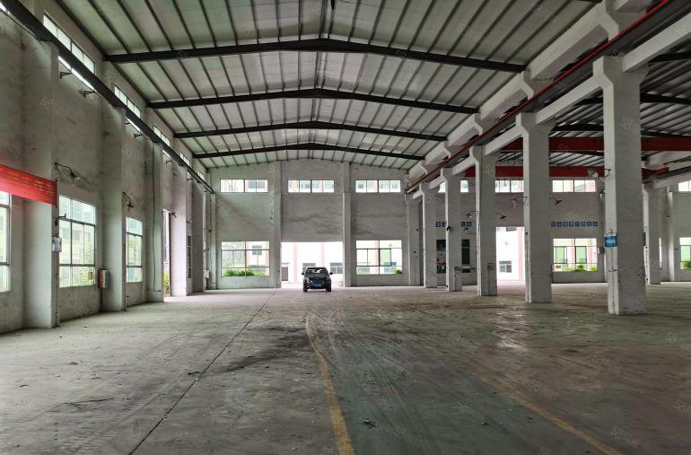 茶山独门独院原房东单一层9000平厂房出租空地大可分租