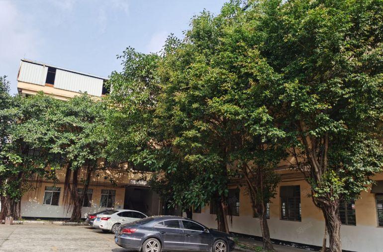 茶山工业园区厂房招租，茶山厂房出租！